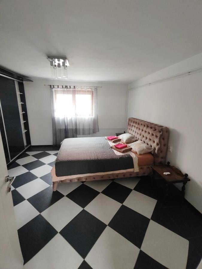 Downtown Apartment Nisz Zewnętrze zdjęcie